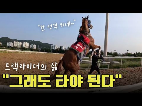 [기수 에피소드 9-2] 위험까지 감수하며 경주마 훈련시키는 기수트랙라이더의 삶!! 그들은 왜 말을 타는가??????????
