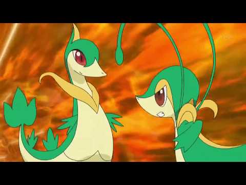 Pokemon Best Wishes Ep 10- Snivy~Tsutarja Defeats Servine~Janovy!!!