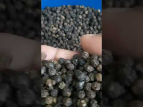 Whole lightweight organic black pepper