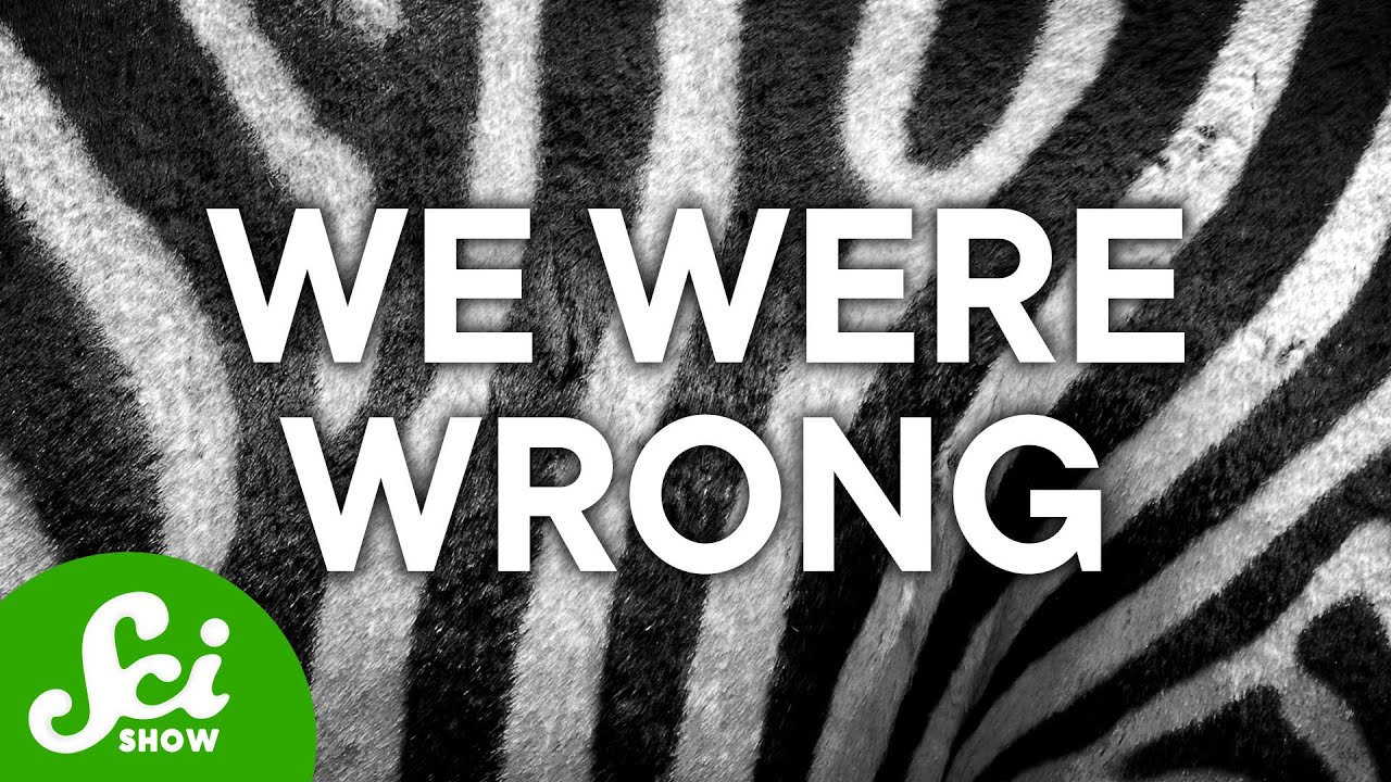 We Were Totally Wrong About Zebra Stripes