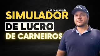 Como saber quantos carneiros e ovelhas cabem na minha propriedade? Com planilha de simulação