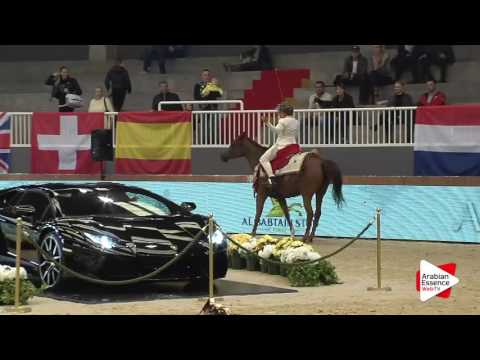 Milan SEWC 2016   Break Show