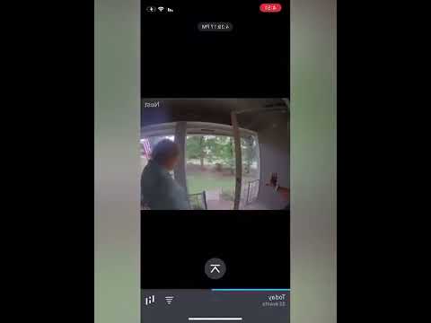 funniest animal videos of 2022 - funny golden retriever btdogs and cutest golden puppies  V.18242 #