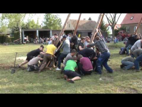 Gestellt: Maibaum in Zeißig - ELSTERWELLE