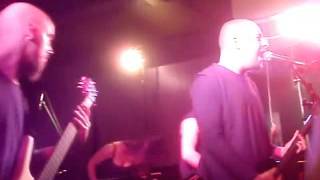 Far above the trees - Sear Bliss cover