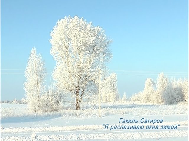 «Я распахиваю окна зимой»