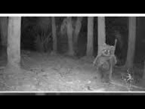 unlocking secret bunker in ewok hunt (star wars battlefront 2)