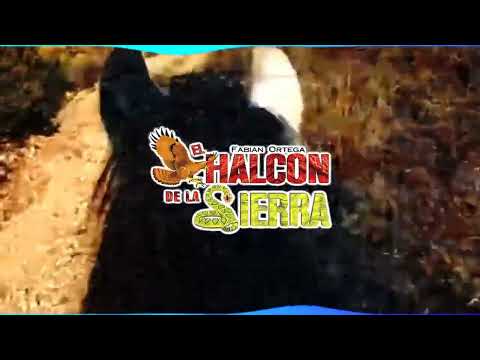 La Metralladora (Letra)