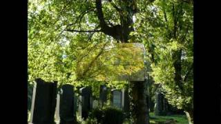 Wolfgang Ambros - Es lebe der Zentralfriedhof - LIVE