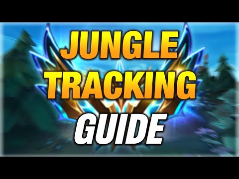 CHALLENGER GUIDE TO TRACK THE JUNGLE | Reptile