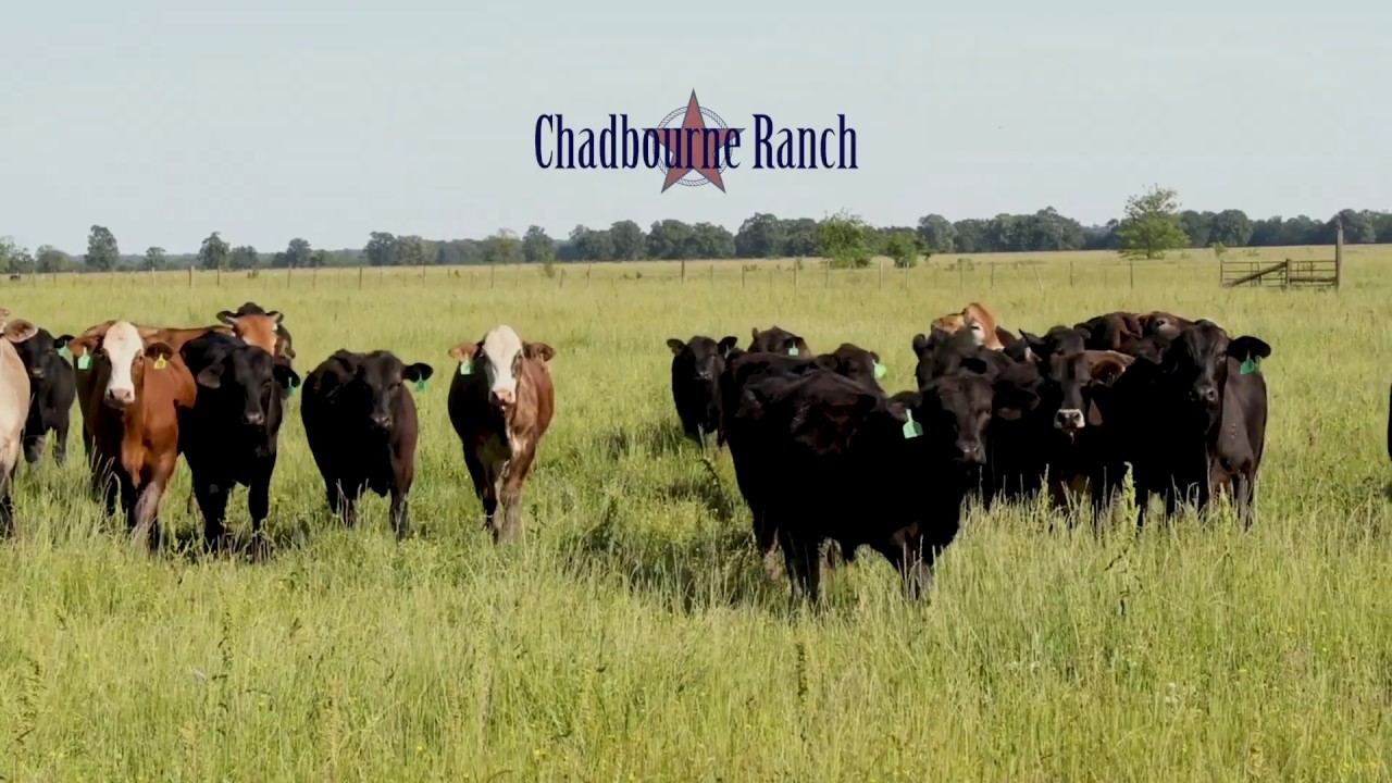 Chadbourne Ranch