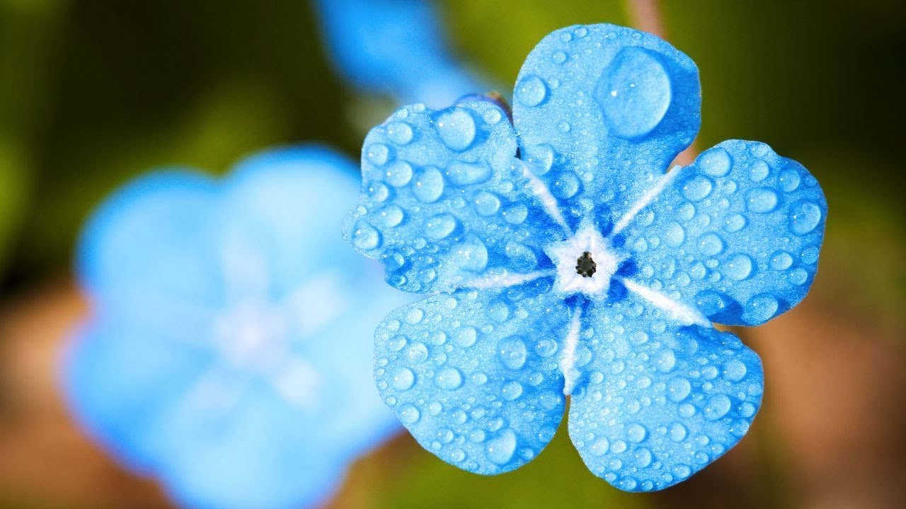 雨の音 3時間 (音フェチ・作業用BGM)