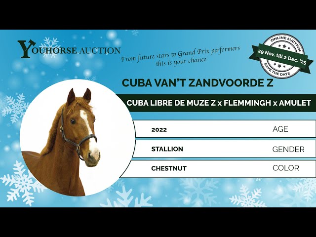 Cuba van 't Zantvoorde Z