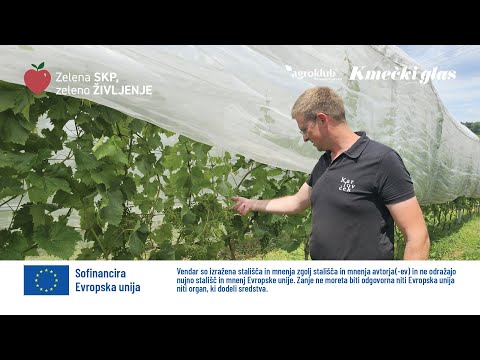 ZELENA SKP – ZELENO ŽIVLJENJE: sadjarsko-vinogradniška kmetija KARLOVČEK