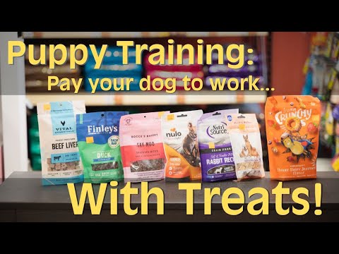 Premium Puppy Treat Package