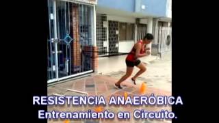 GYM ALL STAR - Eliana Caliz