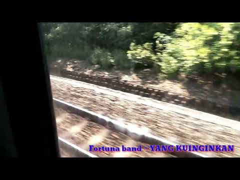 Fortuna band ~ Yang Kuinginkan