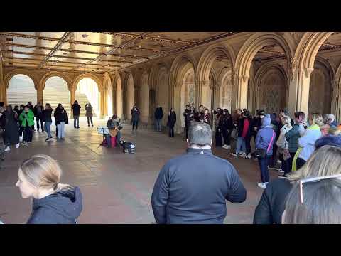 2023-03-05: Central Park - Guitarist + Group Singing “Shallow”