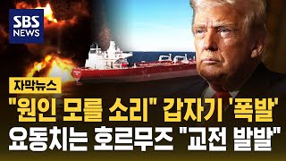 "원인 모를 소리" 갑자기 '폭발'..요동치는 호르무즈 "교전 발발" (자막뉴스) / SBS