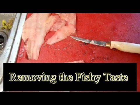 Removing the Fishy Taste from Catfish How to
