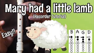 MARY HAD A LITTLE LAMB - Recorder Tutorial - Cover with notes and finger chart (EASY For Beginners)