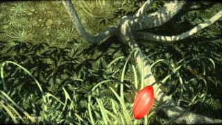 Cradle video thumbnail