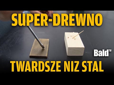 SUPERDREWNO: JAK DRZEWA REWOLUCJONIZUJĄ NAUKĘ!