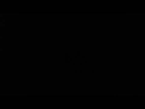 Virus.DOS.Dreamer (aka Hitler Virus)