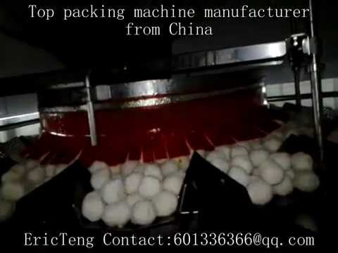 fish ball frozen food auto packing machine(+vacuum device )
