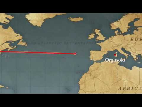 Hanno Morto L'Uomo Ragno