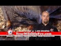 BRWM Bats 30 Spot 2014