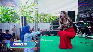 Download lagu CAMELIA - SATRU 2 - EVIS RENATA - HAPPY WEDDING FIYAN & LULUK - PEKALONGAN BATEALIT JEPARA mp3