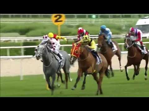 Mehmet Akif Ersoy Koşusu (Grup - 2) 04/06/2016