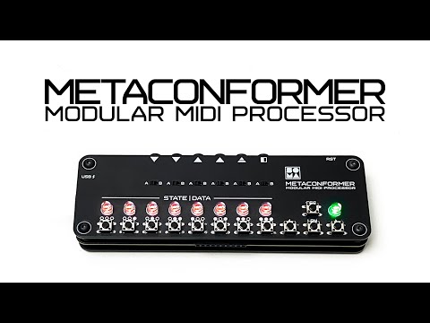 METACONFORMER demo (SOMA labs)