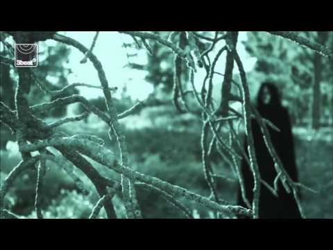 Paul Van Dyk Ft Arty - The Ocean (Official Music Video)