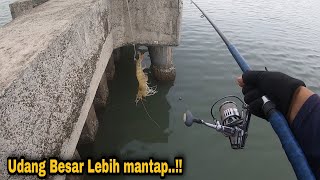 Download lagu Nyesek..‼️ Kenapa bukan dari siang mancing disini || pltu lontar 3 dam merah mp3