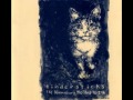 Tindersticks - mistakes live