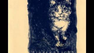 Tindersticks - mistakes live