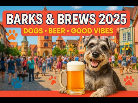 Play Video Youtube Video