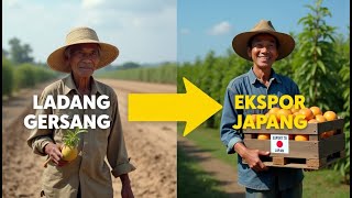 Download lagu DARI LADANG KERING KE RAK BUAH JEPANG — SIMAK KISAH NYATA PAK DUL BANYUWANGI mp3
