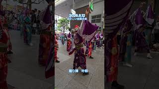 2026.8.12よさこい全国大会　踊り陣　叶和#よさこい#踊り陣　叶和#よさこい祭り#全国大会#前夜祭 #後夜祭 #kochi #yosakoi #高知 #よさこい鳴子踊り