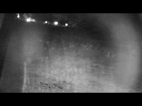 Djuma Private Game Reserve Live Stream