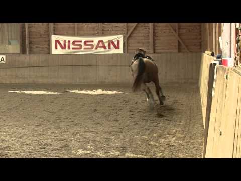 Fürst Grandios x Weltmeyer x Airport