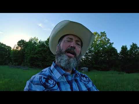 Tom green At Home On The Farm With His Animal Friends