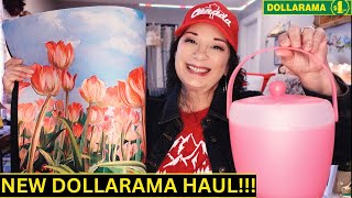 *NEW DOLLARAMA HAUL*BEAUTY*HOME*SEASONAL* #haul #canada #shopping #trending #beauty