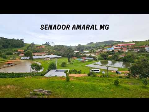Senador Amaral MG - Passeio da Rota 408 pelo Estado de Minas Gerais - 16° Temp - Ep 46