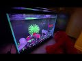 Elmo World Birthdays Intro