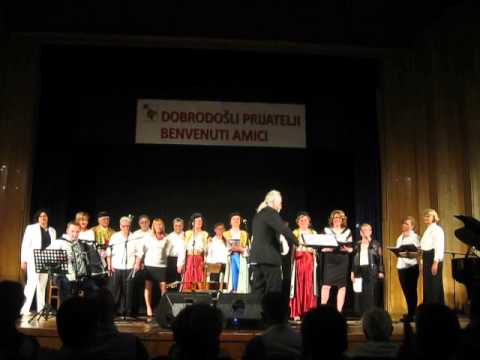 Zbor "Montenegro" Zagreb - Sejdefa