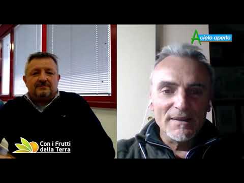 Puntata del 5/4/20 – 3° parte – Pomodoro da industria e Agrichef