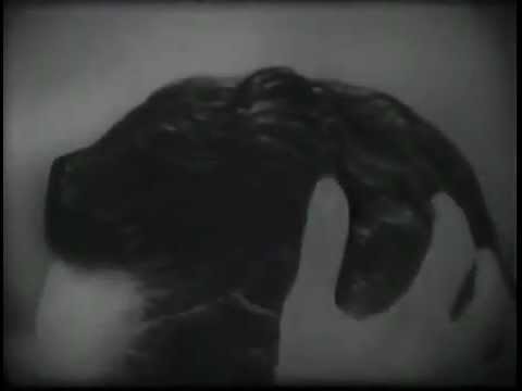 VINTAGE 1958 BRYLCREEM HAIR "GUNK" COMMERCIAL